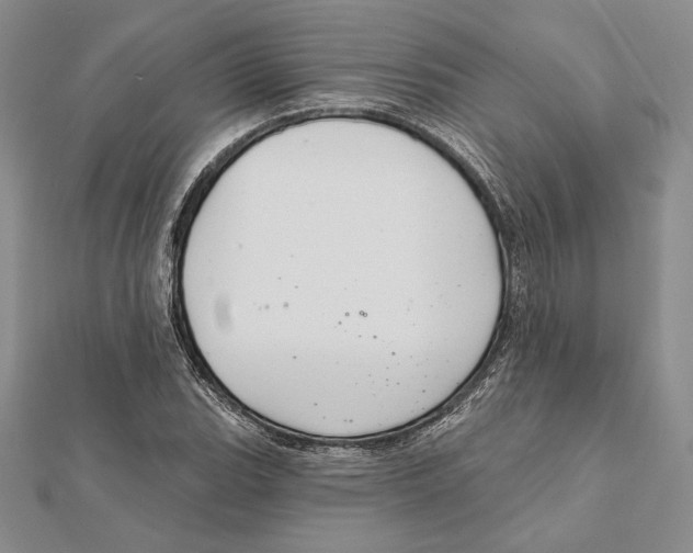 X0000112021119200908311149