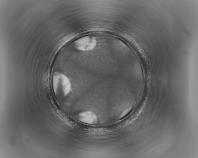 X0000112021121200908311149