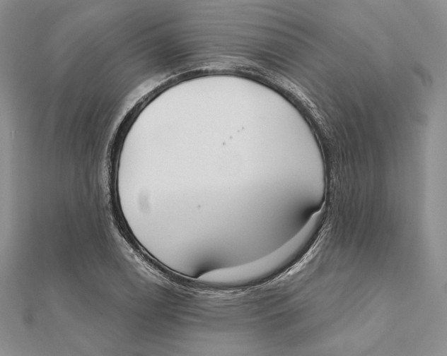 X0000112021122200908311149