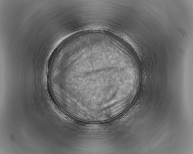 X0000112021124200908311149