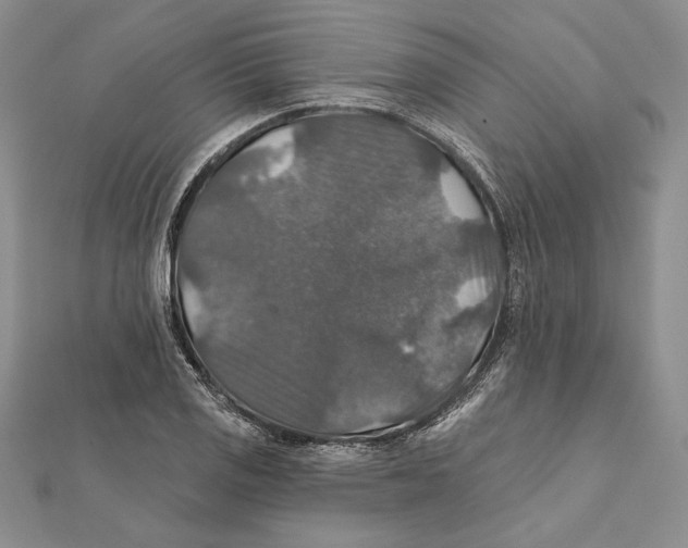 X0000112021125200908311149