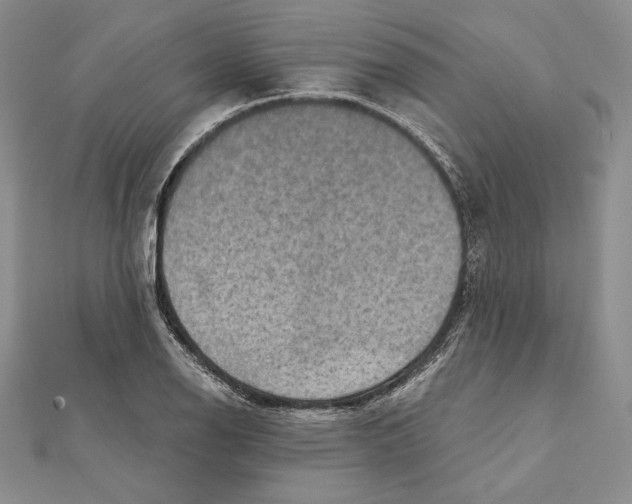 X0000112021126200908311149