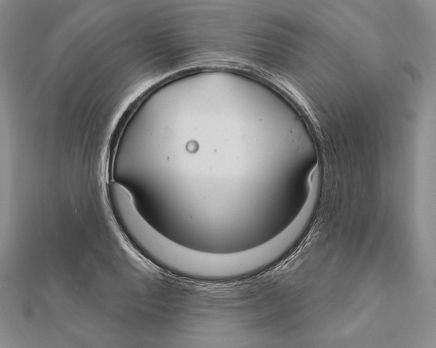 X0000112021128200908311149