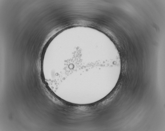 X0000112021130200908311149