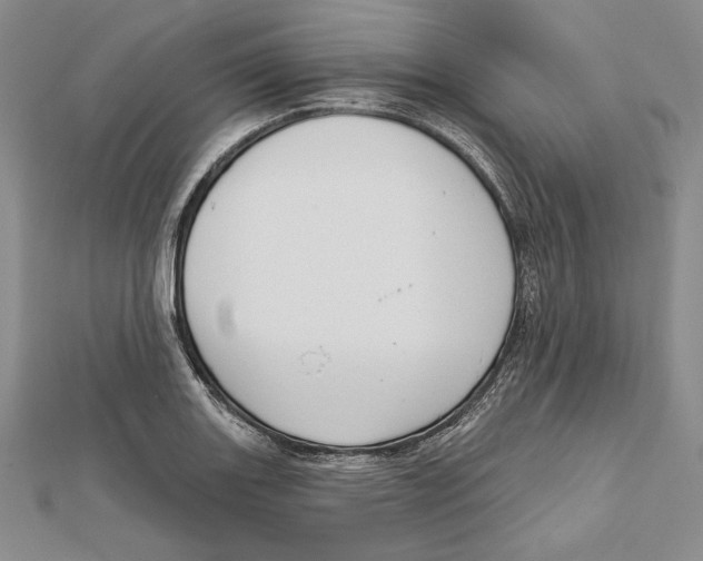 X0000112021131200908311149