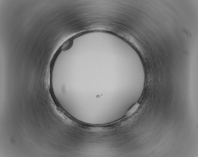 X0000112021132200908311149