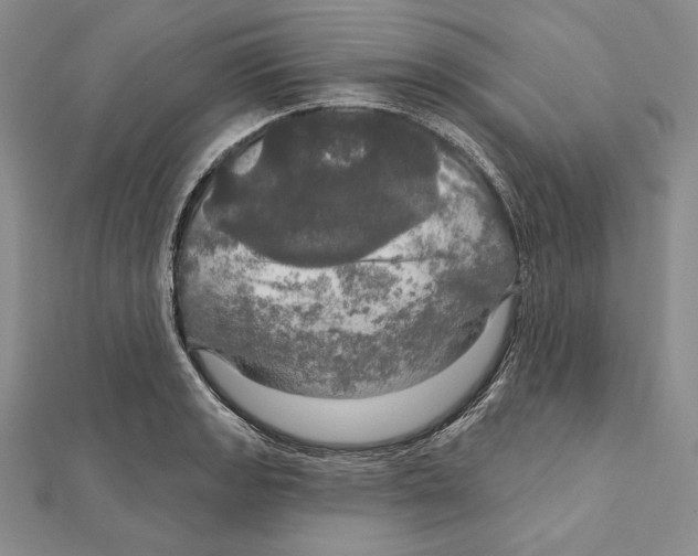 X0000112021133200908311149