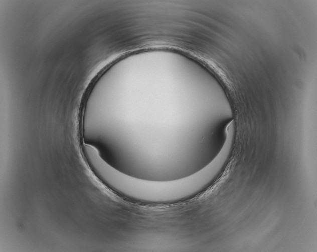 X0000112021134200908311149