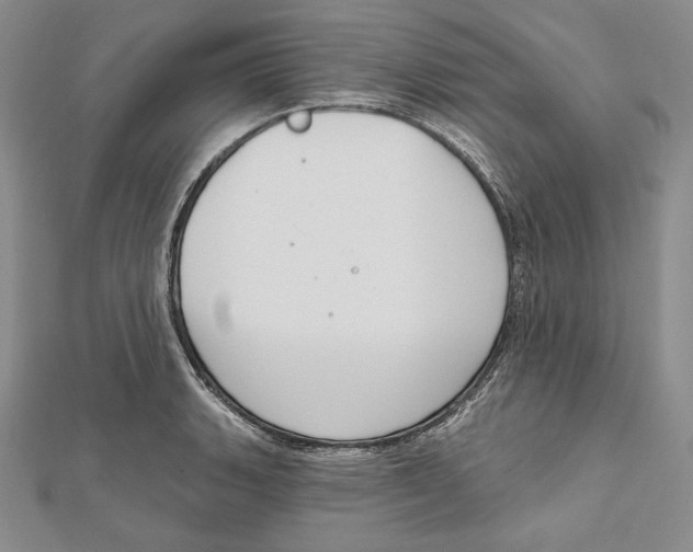 X0000112021135200908311149