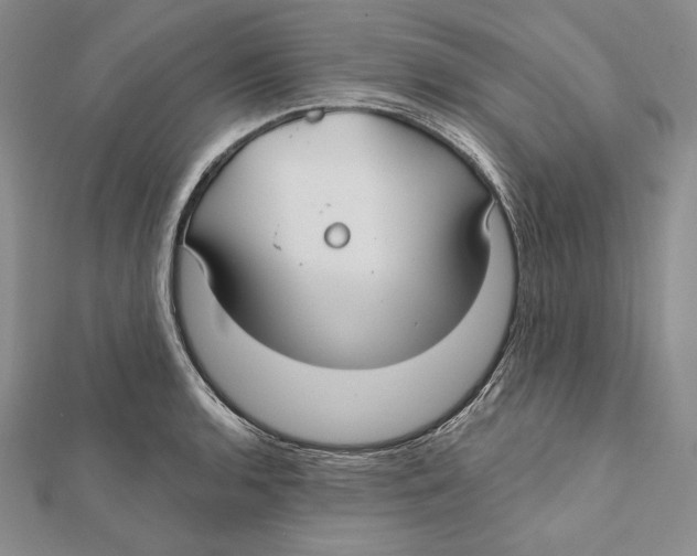 X0000112021136200908311149