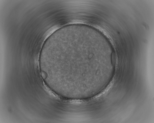 X0000112021137200908311149