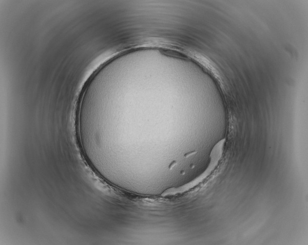 X0000112021138200908311149