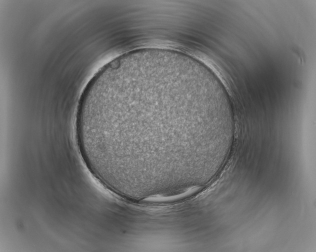 X0000112021139200908311149