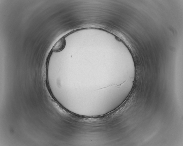 X0000112021140200908311149