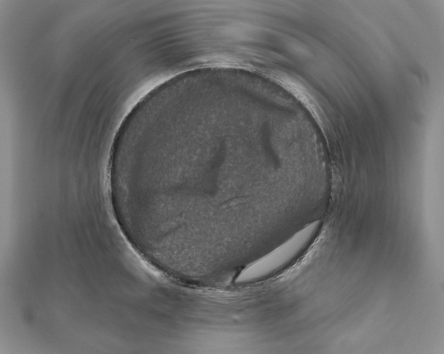 X0000112021141200908311149