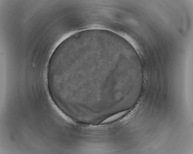 X0000112021142200908311149