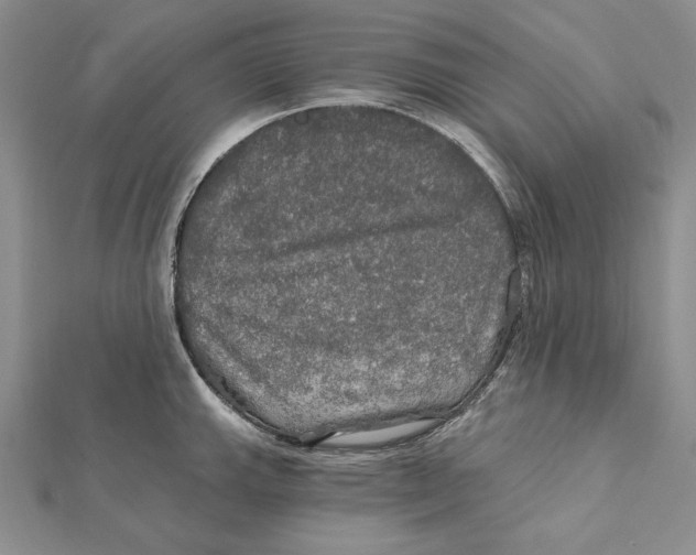 X0000112021143200908311149