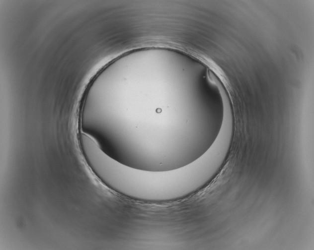 X0000112021144200908311149