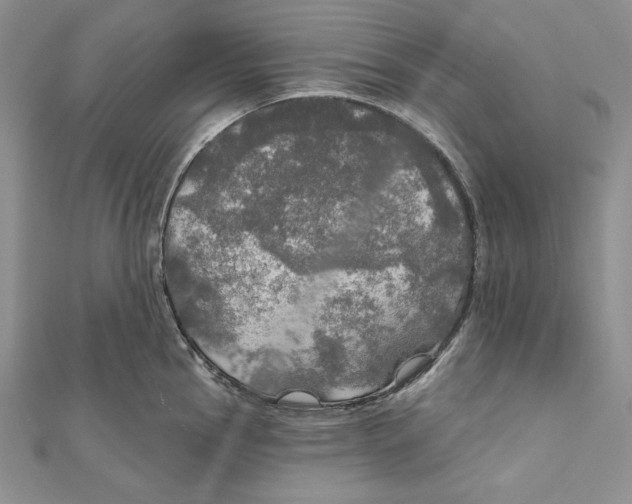 X0000112021145200908311149