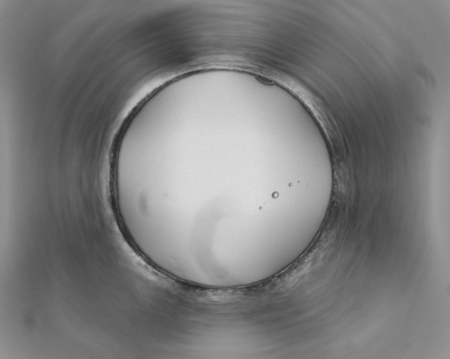 X0000112021147200908311149