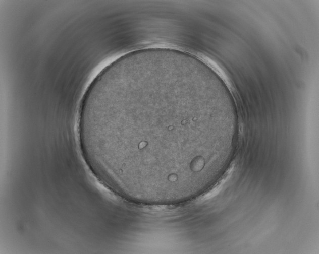 X0000112021149200908311149