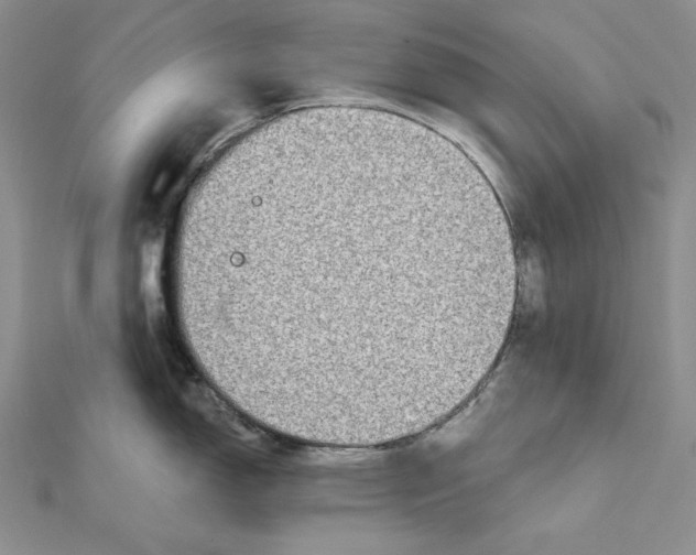 X0000112021150200908311149