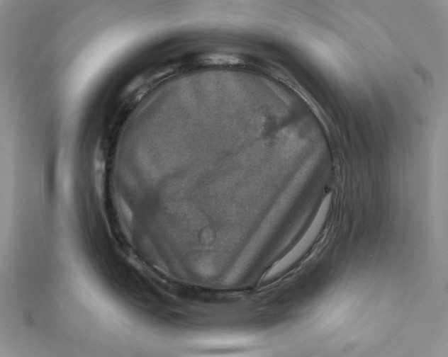 X0000112021151200908311149