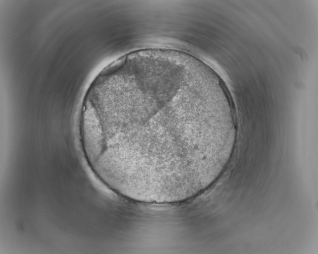 X0000112021152200908311149