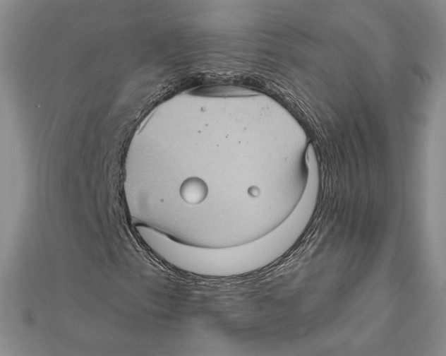 X0000112021153200908311149