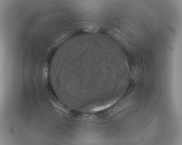 X0000112021154200908311149