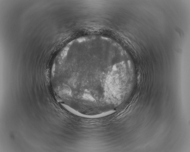 X0000112021156200908311149