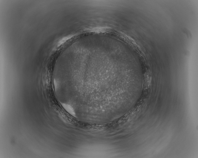 X0000112021158200908311149