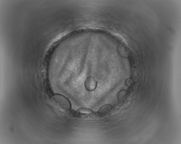 X0000112021159200908311149