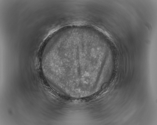 X0000112021160200908311149