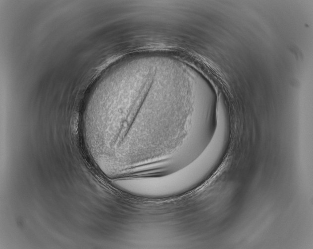 X0000112021161200908311149