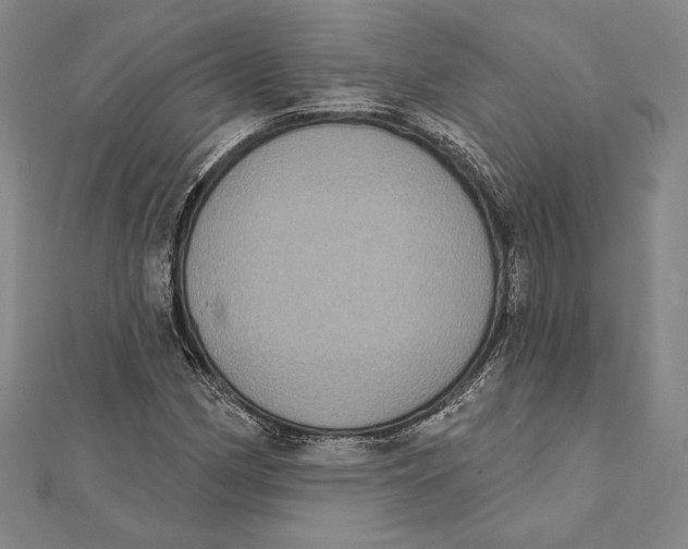 X0000112021162200908311148