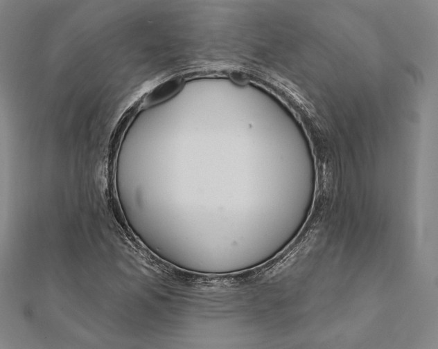 X0000112021165200908311148