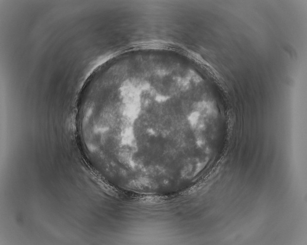 X0000112021166200908311148