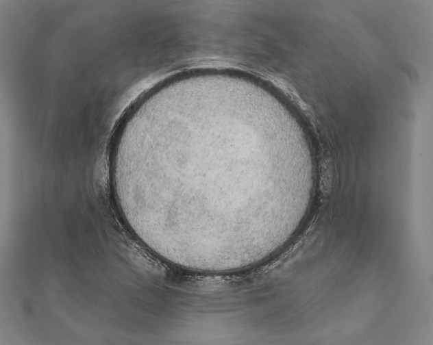 X0000112021167200908311148