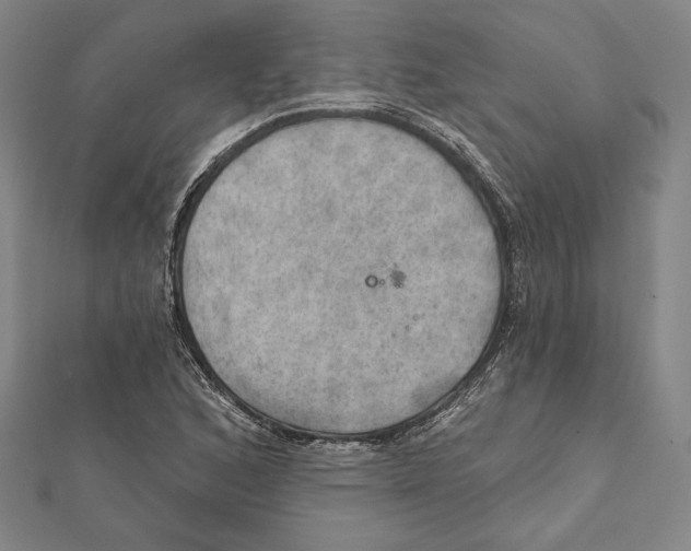 X0000112021168200908311148