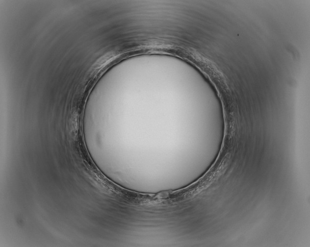 X0000112021169200908311148