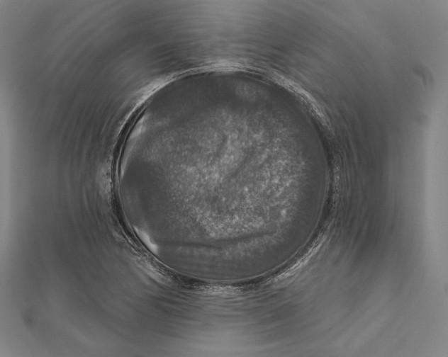 X0000112021170200908311148