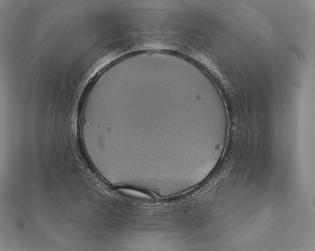 X0000112021173200908311148