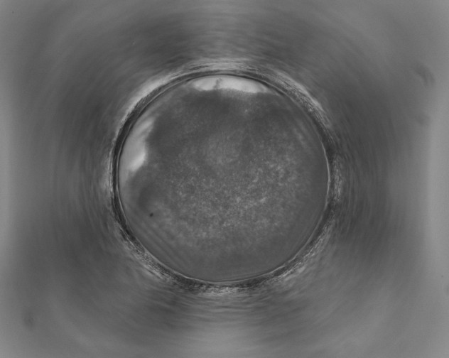 X0000112021174200908311148