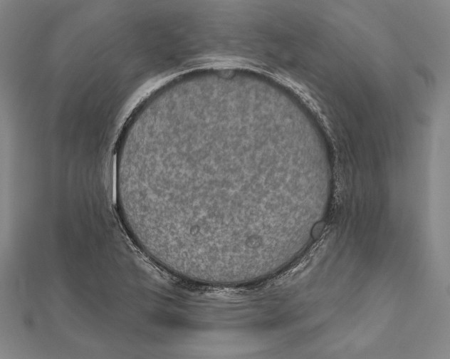 X0000112021175200908311148