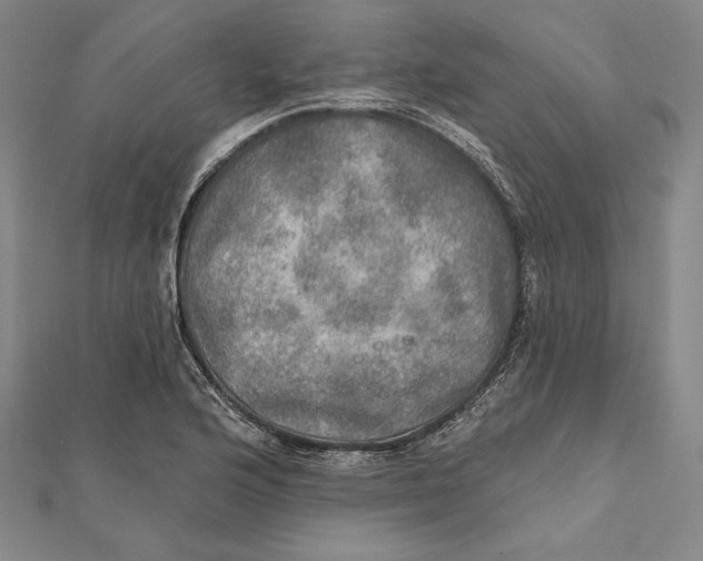 X0000112021176200908311148