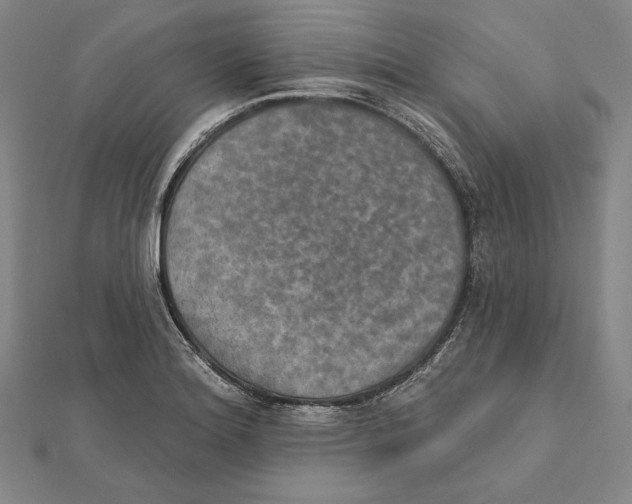 X0000112021180200908311148