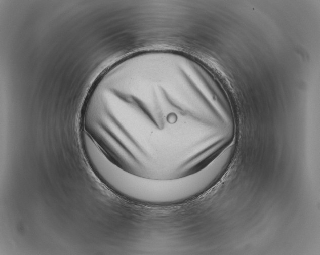 X0000112021181200908311148