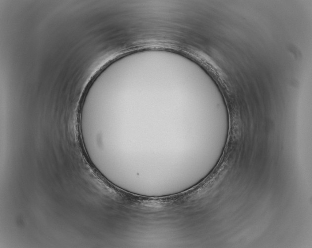 X0000112021182200908311148