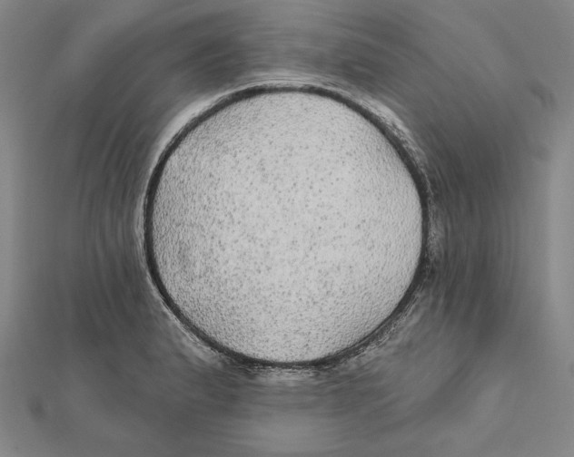 X0000112021183200908311148